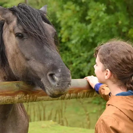 La Charretterie Coeur Du Village Typique Normand בית נופש *