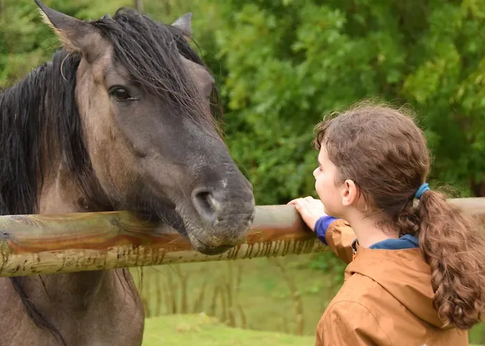 La Charretterie Cœur Du Village Typique Normand Hébergement de vacances *