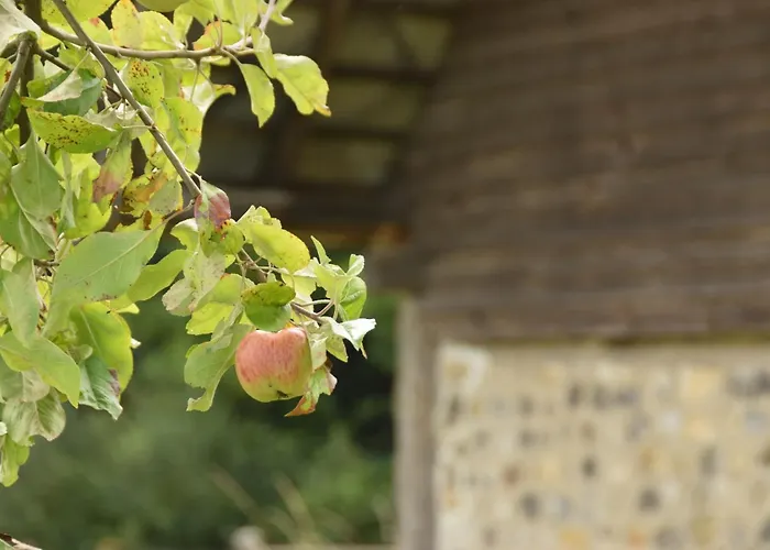 Hébergement de vacances La Charretterie Cœur Du Village Typique Normand Saint-Christophe-Sur-Conde